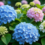 discover the ultimate seasonal guide to pruning hydrangeas for vibrant blooms. learn expert tips and techniques to care for your hydrangeas, ensuring stunning flowers throughout the seasons.